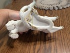 Porcelain Cat   Kitten Figurine Pair Playing  White With Tan gray Accents