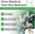 Morel Habitat Kit       Backyard Morel Mushroom Grow Kit - S Mhk