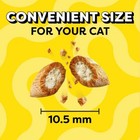 Temptations Tasty Chicken Crunchy Cat Treats