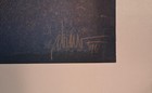 1991 Star Trek Mr Spock Original Movie Poster Linen Drew Struzan Cult Sci-fi Tv