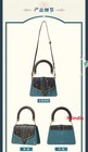 Honkai   star Rail Anaxagoras Anaxa Theme Handbag Shoulder Bag Backpack Cosplay
