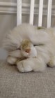 Russ Berrie Yomiko Plush White Long Haired Persian Cat Lying Asleep Eyes Closed 