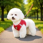 Pet Dog Cat Harness Vest Breathable Reflective Adjustable Walking Leash