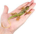 Realistic Plastic Lizard Toys  Green Fake Lizard Animal Figures For Kids  Prank 
