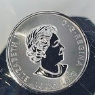 Royal Canadian Mint Fine 9999 Ultra Pure Silver 2oz Coin Orca Killer Whale Queen