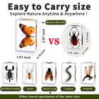 6pcs Medium Real Insect Resin Specimens  2 87  1 61  0 79 Inch  - Taxidermy Spi   