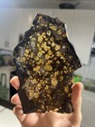 140g Gram Brenham Pallasite Meteorite Slice From Usa