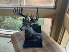 Rare Deer Statue - Perfect Gift For Sportsman Or Hunter 