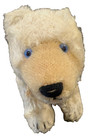 Vintage Steiff 8  Long Polar Bear-u s  Zone Germany-late 1940s -with Button