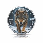  2025 Canada 1oz 9999 Silver Bu Silent Stalker Wolf Of Winter Woods Colouriized