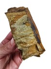 Picture Jasper Rough 214 3 Grams  Lapidary Or Display