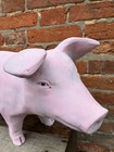 Large Plaster Butchers Shop Pig Advertising Figure