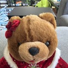 Snowflake Teddy 2005 Dan Dee Collectors Choice Christmas Plush Brown Bear 20 