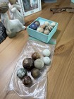 Hard To Find Collection Of Assorted Clay   Colorful Bennington Marbles