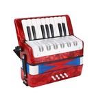 17 Key Bass Piano Accordion For Beginners Students