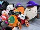 Lot Of 23   Squishmallows Halloween Plushies  3   5   8   Variety Mixed Bundle