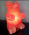 Xl Himalayan Salt Lamp Teddy Bear Carving Large Salt Light Natural  Stone 6lbs 