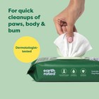 Earth Rated Pet Wipes 100 400ct   Hypoallergenic For Dogs   Cats   Choose Scent