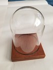 Vintage Glass Dome Display Case Or Cloche W wood Base - 5 h