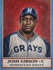 Josh Gibson  Buck Leonard  Turkey Stearnes  More  Stars Of The Negro Leagues Set