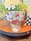 Disney Pottery Barn Mickey Mouse Christmas Peanuts Holiday Party Birthday Kid    
