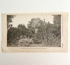 Spraying For Cottony Cushion Scale Insect Victorian 1887 Print Entomology Dwt9b