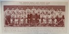 1933 Team Issued Original Vintage Toronto Maple Leafs Framed Champion Team Photo