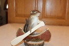 New Taxidermy Canoe Chipmunk Mount Novelty Whitetail Deer Log Cabin Decor Mouse