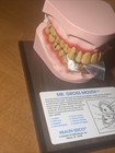 Health Edco Mr  Gross Mouth Dental Jaw Model W  Tongue New Old Stock