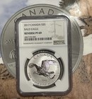 2017 Canada Reverse Silver Bald Eagle       5 Dollars 1 Oz Silver Coin