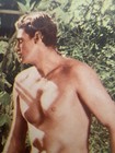 Tarzan The Ape Man  R-1954 Original Vintage Lobby Card With Johnny Weissmuller