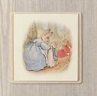 The Tale Of Peter Rabbit By Beatrix Potter Framed Book Illustrations Custom Art