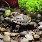 2pcs Garden Tortoise Statue Turtle Figurine Lawn Art Ornament Patio Home Decor