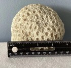 Vintage Brain Coral Sea Star Fossil Natural White 3 X 4 Inches Rounded