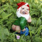 Funny Garden Gnome Statue Outdoor Decor  Middle Finger Figurine Decorations     
