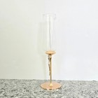 Champagne Flute Glass Rhinestone Gold Bow Elegant Toasting Stemware Weddiu