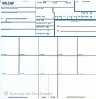 Fingerprint Cards Applicant Fd-258 100 Pack