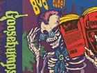 Vtg Goosebumps Pillowcase Spooky Skeleton Skateboard Mummy Rl Standard