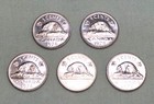 1978 Canada Nickel 5   Five Cents 5 Cent Nickels Coin Canadian Coins  05