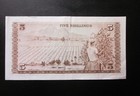 Kenya 5 Shillings 1969 Crisp Xf Banknote Rare Year Note