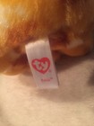 Ty Beanie Boo Boos Pablo The Chihuahua Puppy Dog 9  Purple Glitter Eyes