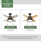 Hunter Fan 36 Inch Noble Bronze Indoor Ceiling Fan With Led Light And Pull Chain