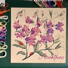 Elizabeth Bradley Needlepoint Chart  Instuctions  Wool  Eb Bag   Needle Threader