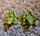 Vintage Green Glazed Ceramic Frog Figurines Novelty Adult Humour Toad Statues