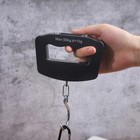 Lcd Electronic Fishing Scale Portable Digital Luggage Weight Hanging Hook 50kg