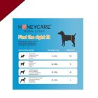 50 Pack Waist Disposable Dog Diapers Male Wraps Belly Bands Pet Soft All Sizes