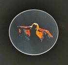 Stevie Nicks  gold Dust Woman  Original Photo Matte Vinyl Sticker