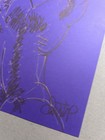 Nude Male Black Drawing- Original Fine Art- Direct From   Signed By Artist