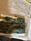 Real Peacock Feather Trim Sold By The Yard 4 Yards Total