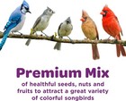 Kaytee Nut   Fruit Wild Bird Seed  5 Lb